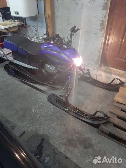 Irbis Dingo t125