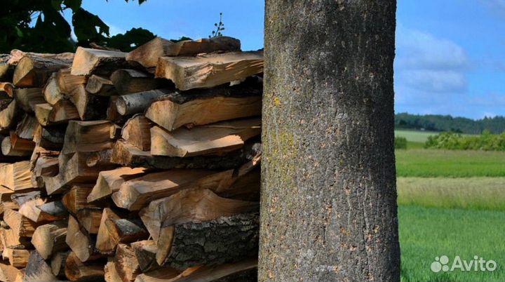 Дрова со Всеволожска