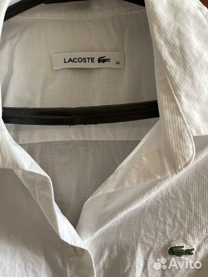 Рубашка lacoste