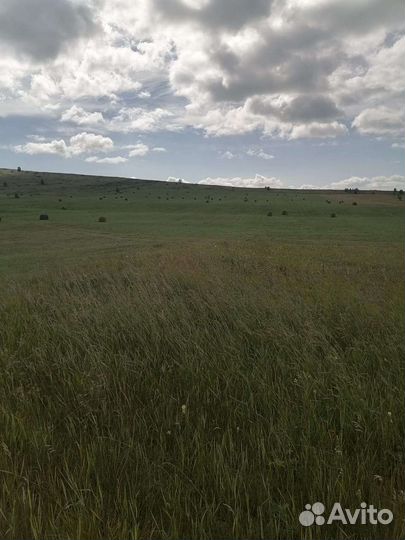 Продам сено в рулонах