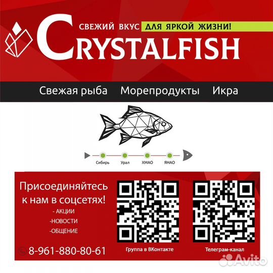 Копченая рыба форель