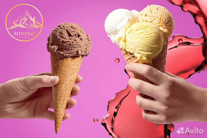 Сеть крафтового мороженого - 