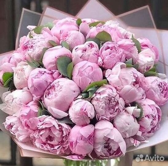 Пионы Букет пионов