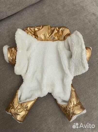 Одежда для собаки