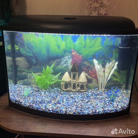 Аквариум