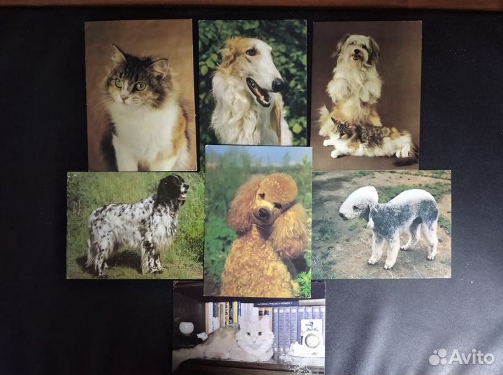 Открытки СССР