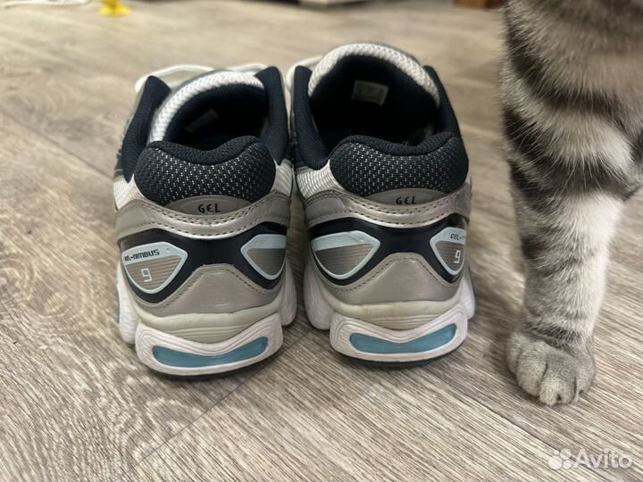 Кроссовки asics мужские