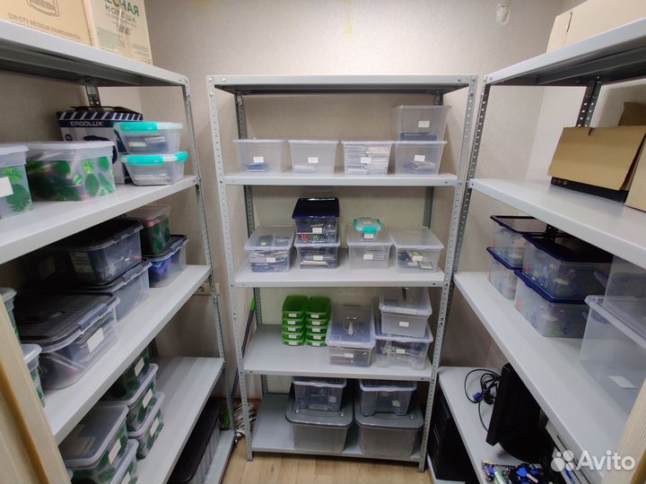 Запчасти на телефоны