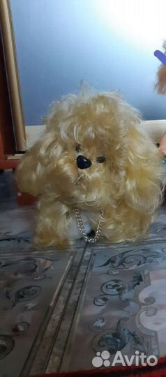 Собака СССР