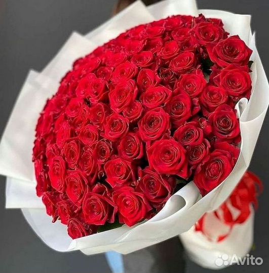 Высокие розы Гигантские розы с доставкой