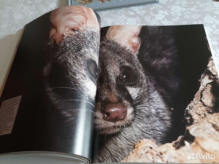 Мир дикой природы larousse