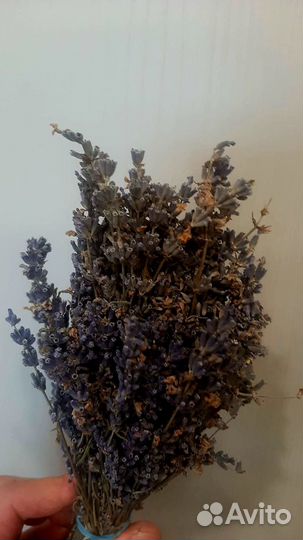 Букетики лаванды