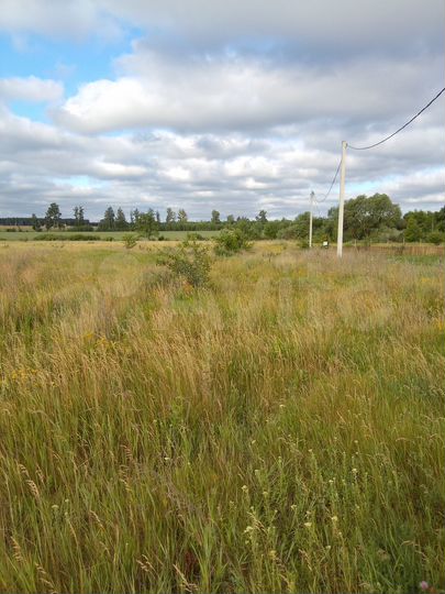 Участок 16 сот. (ИЖС)