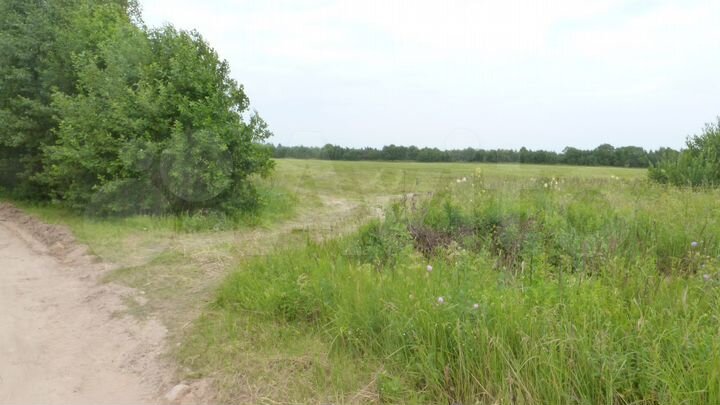 Участок 13 га (СНТ, ДНП)