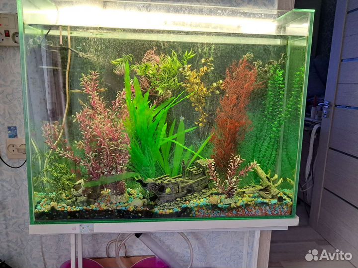 Аквариум с рыбками
