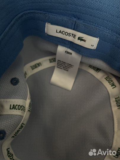 Панама lacoste