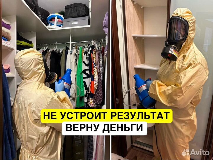 Дезинфекция уничтожение тараканов