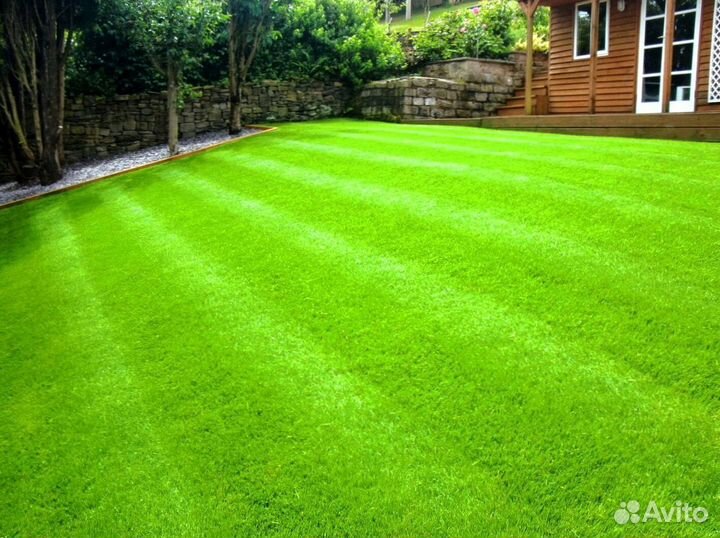 Рулонный газон - газон с укладкой