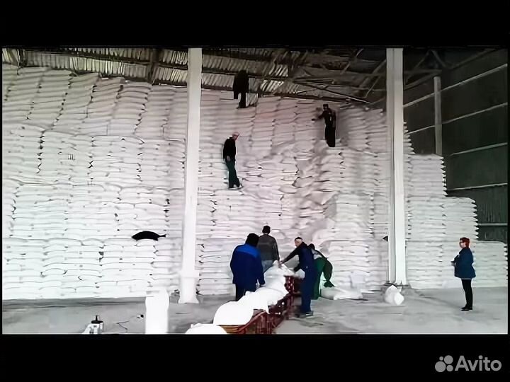 Грузчик сахарный завод. Краснодарский край