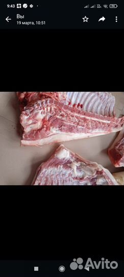 Мясо свинина
