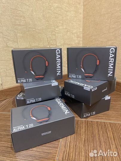 Garmin T20