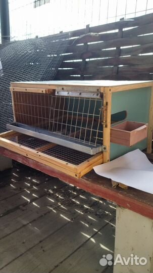 Клетка для перепелов (новая)