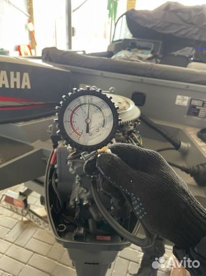 Волжанка 46 fish