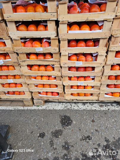 Хурма огонёк