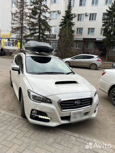 Бокс на крышу аренда прокат