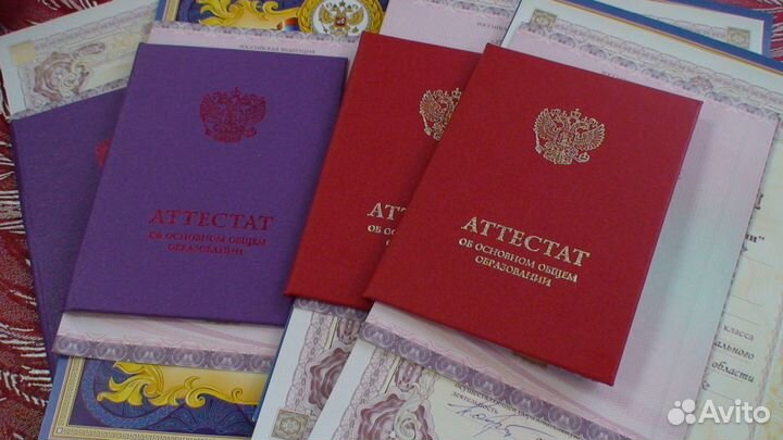 Образование высшее среднее диплом аттестат