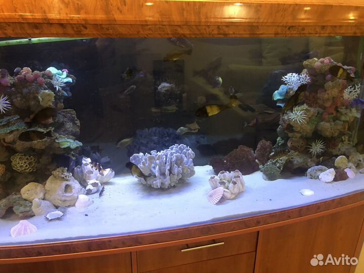 Аквариум с тумбой jebo