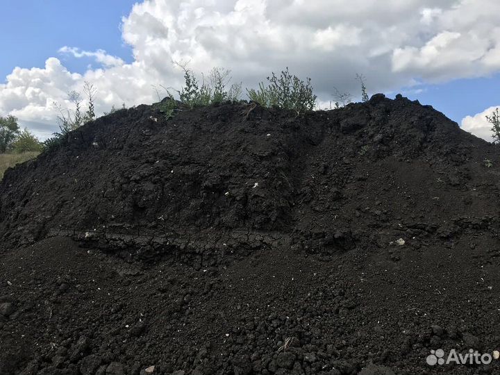 Грунт, чернозем с доставкой