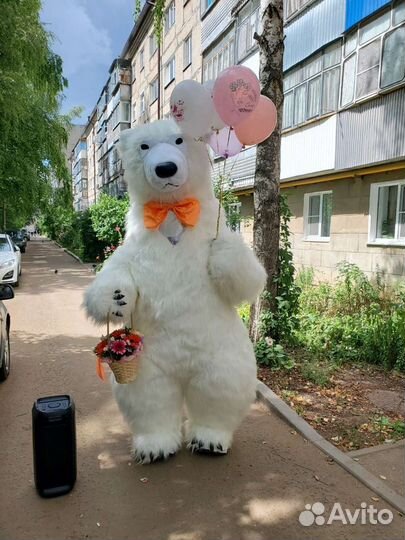 Белый медведь.Звезды.Ростовые куклы.Поздравление