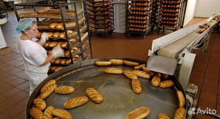 Сортировщик на производстве хлебобулочных изделий
