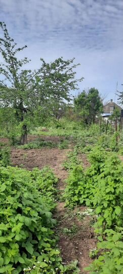 Участок 7 сот. (ИЖС)