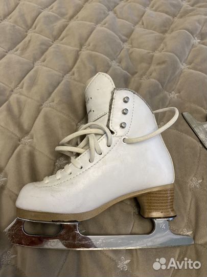Коньки jackson elle new