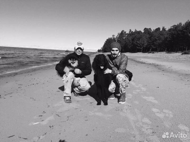 Грюнендаль