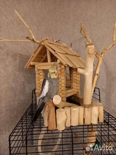 Домик для попугаев