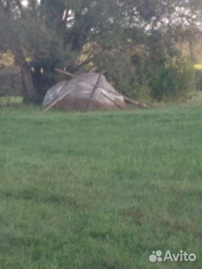 Скошенная трава, клевер