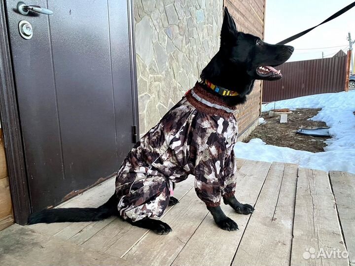 Дождевики/ грязевики, пыльники для собак