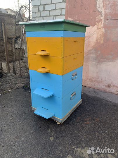 Улеи многокопусные «рут» новые