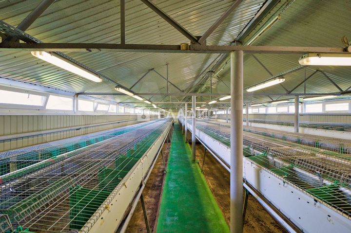 Продам помещение свободного назначения, 1033.2 м²