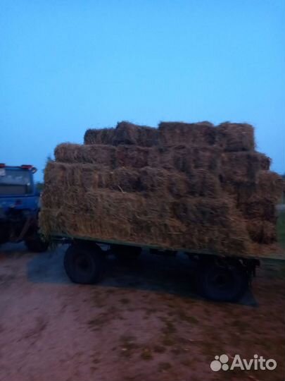 Сено в тюках