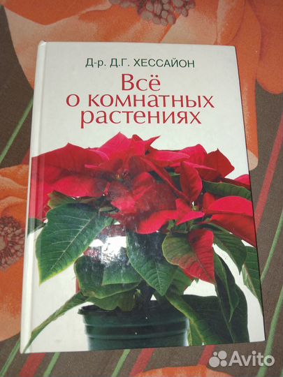 Книга