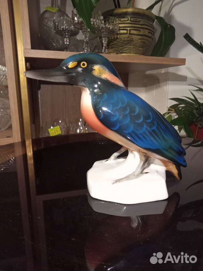 Птица Зимородок