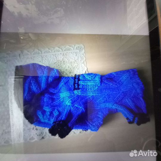 Дождевик для маленькой собаки