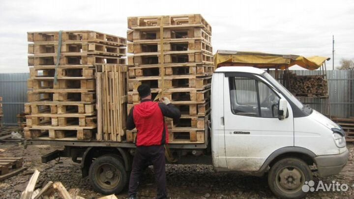 Поддон быстрый выкуп