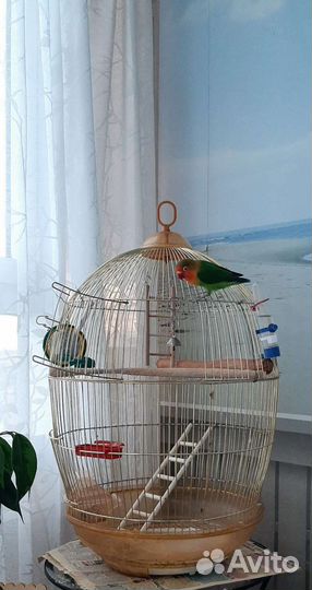Большая клетка для птиц б/у