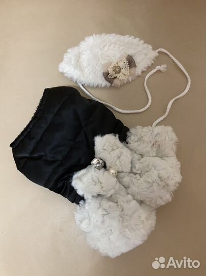 Одежда для собак