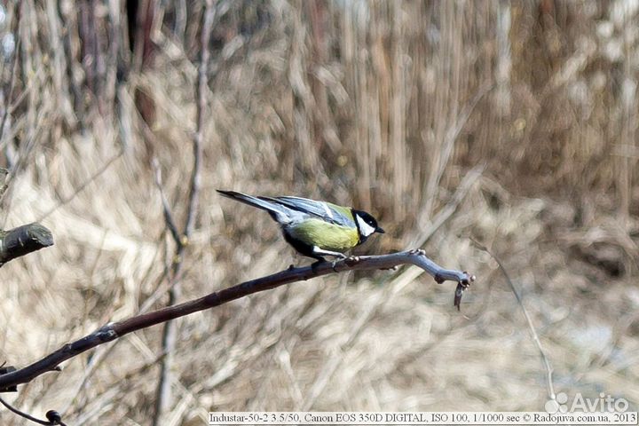 Объектив индустар 50 2